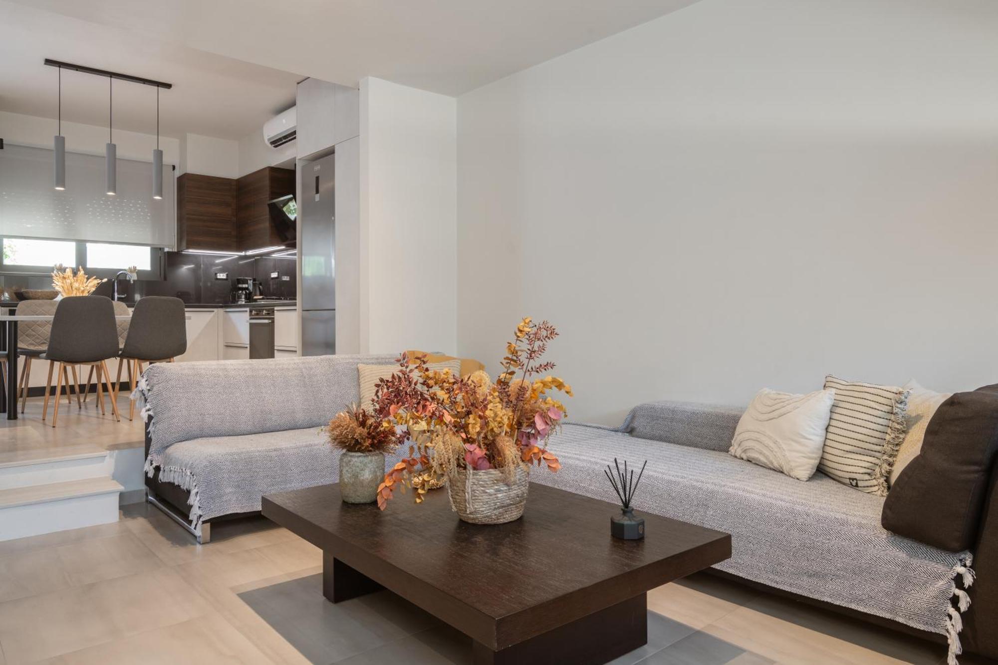 Tatil Evi Anema Stylish Zakintos